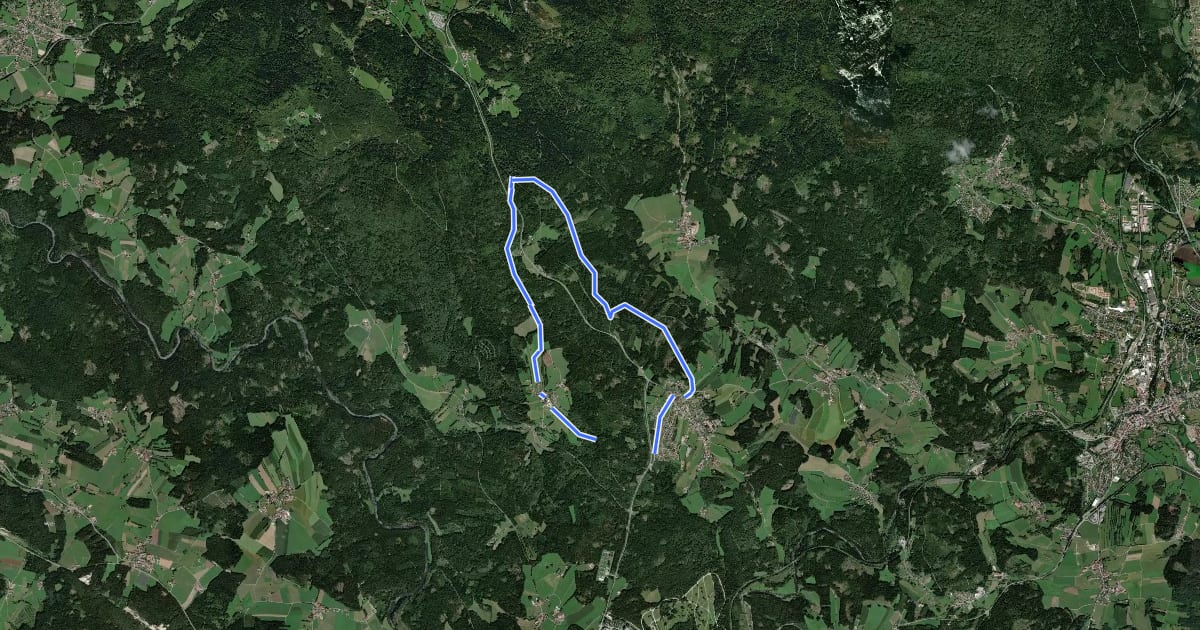 Маршрут 3 Langdorf-Schöneck-Waldman-Schwellweiher-Kneippanlage-Langdo на спутниковом снимке