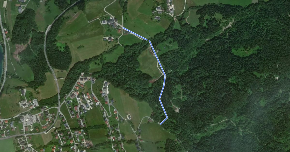 Маршрут 3: Zwergerlweg на спутниковом снимке