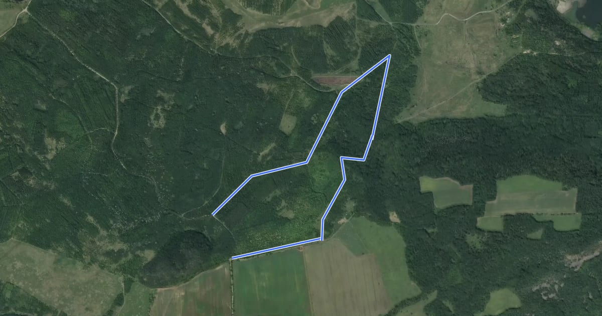 Маршрут 3009B Jedovina - ryb. Rabenov - Jedovina на спутниковом снимке