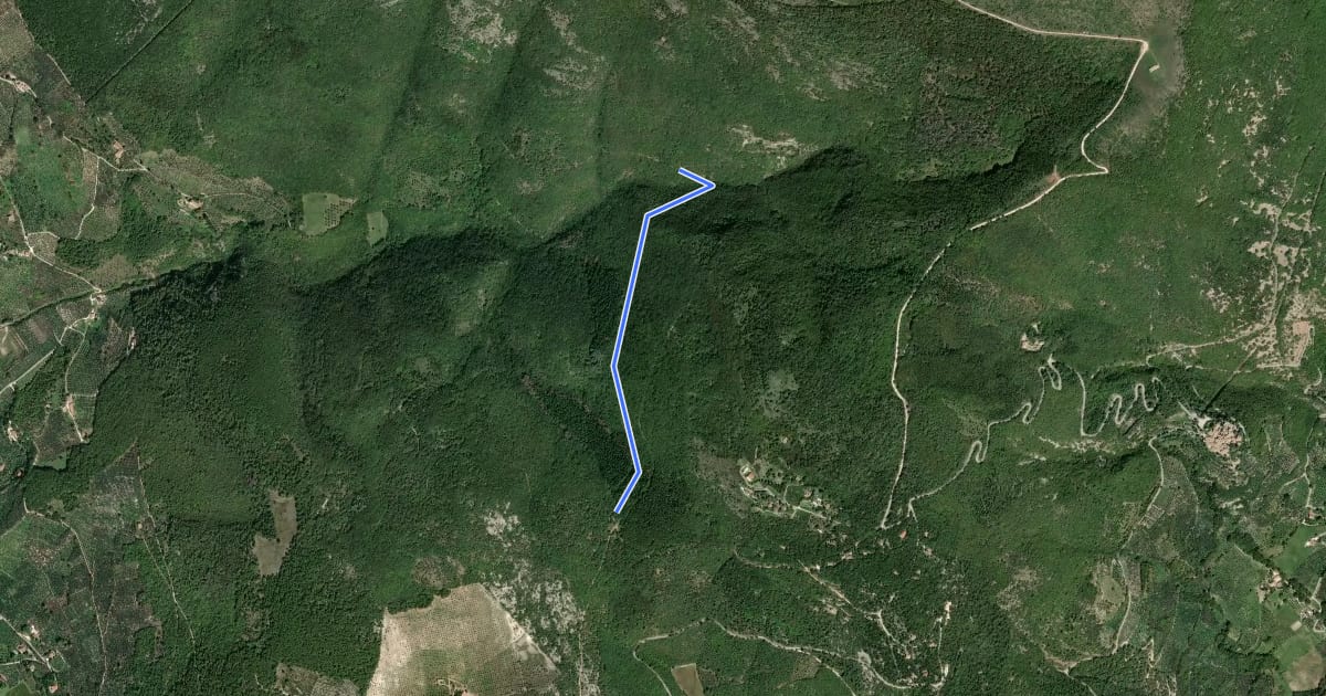 Маршрут 356A на спутниковом снимке