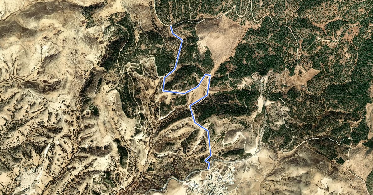 Маршрут דרך החלמוניות на спутниковом снимке