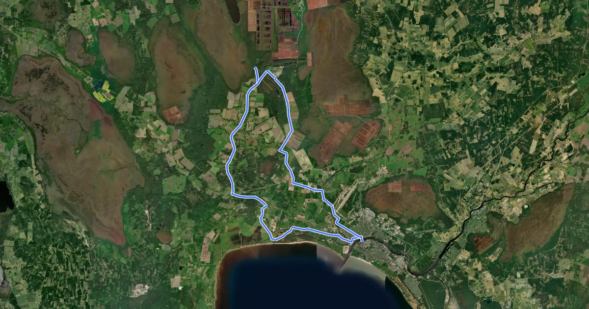 Маршрут 368: Pärnu-Lavassaare на спутниковом снимке