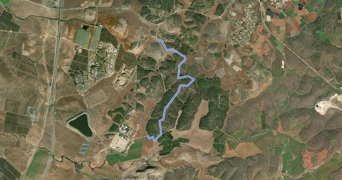 Маршрут דרך חרובית на спутниковом снимке