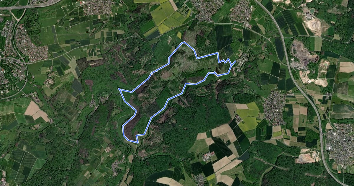 Маршрут 4 Bäche Runde bei Montabaur - Eisenbach -Gelbach - Ahrbach - Holbach на спутниковом снимке