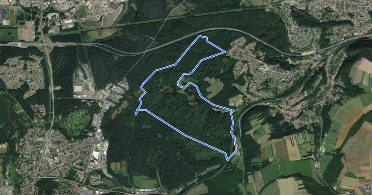 Маршрут 4 Circuit du Moulin á Papier на спутниковом снимке