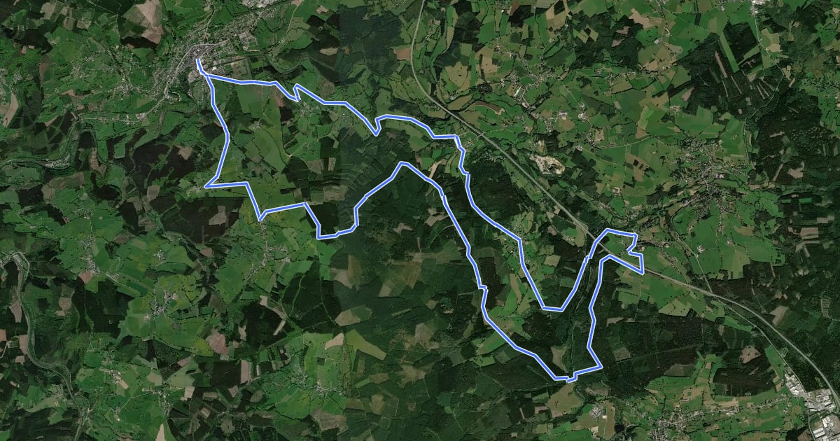 Маршрут 4. Les Hauts de Francheville на спутниковом снимке