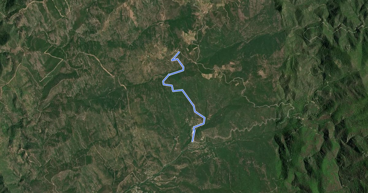 Маршрут 403 на спутниковом снимке