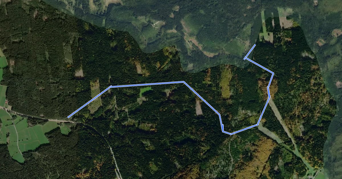 Маршрут 41 Bügellohweg на спутниковом снимке