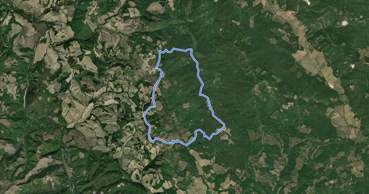 Маршрут 422 на спутниковом снимке