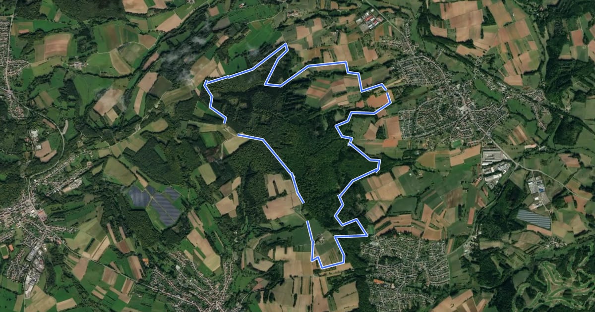 Маршрут 5-Weiher-Tour на спутниковом снимке