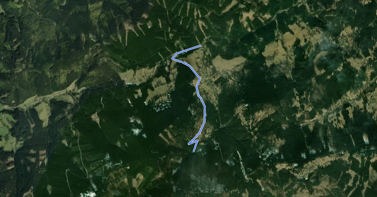 Маршрут 5540M на спутниковом снимке