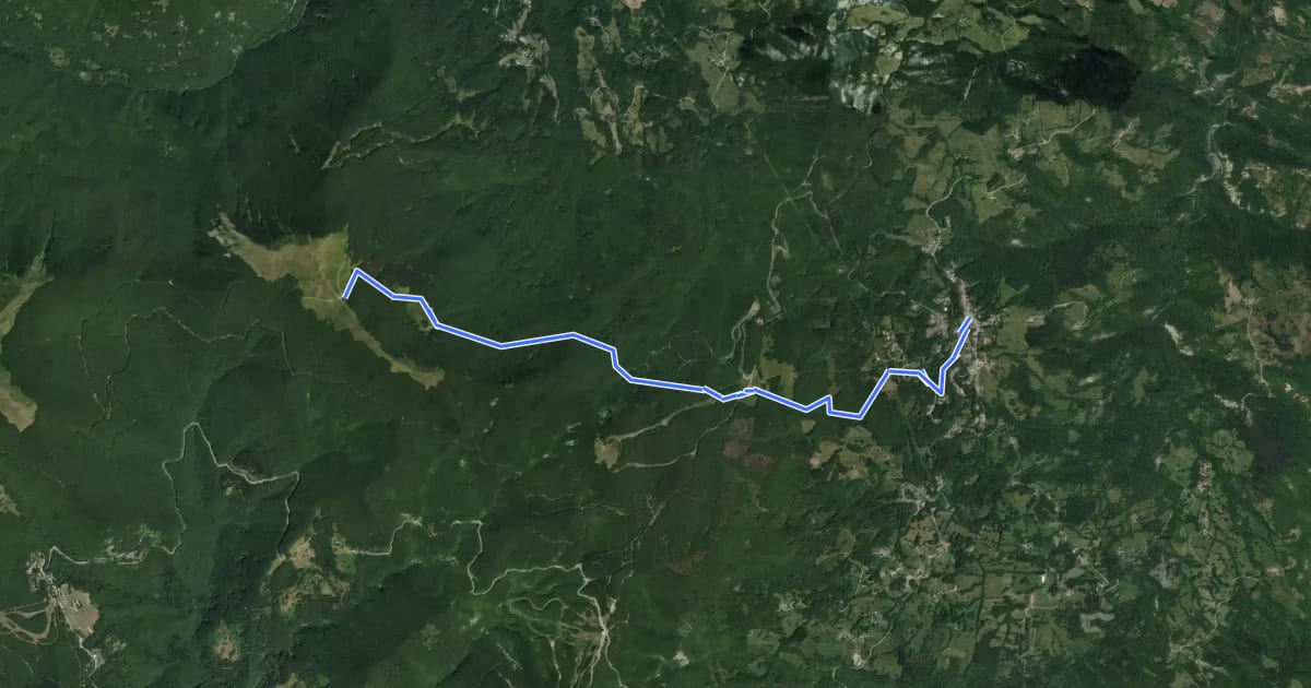 Маршрут 591 на спутниковом снимке