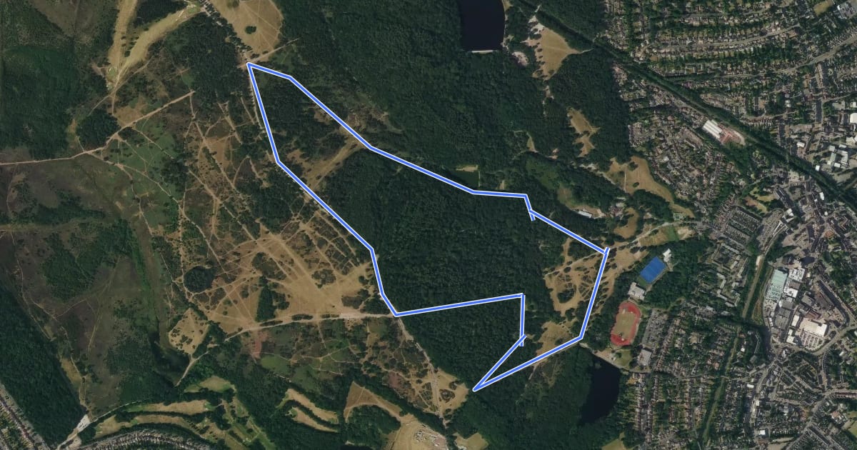 Маршрут 5km walk: Sutton Park на спутниковом снимке