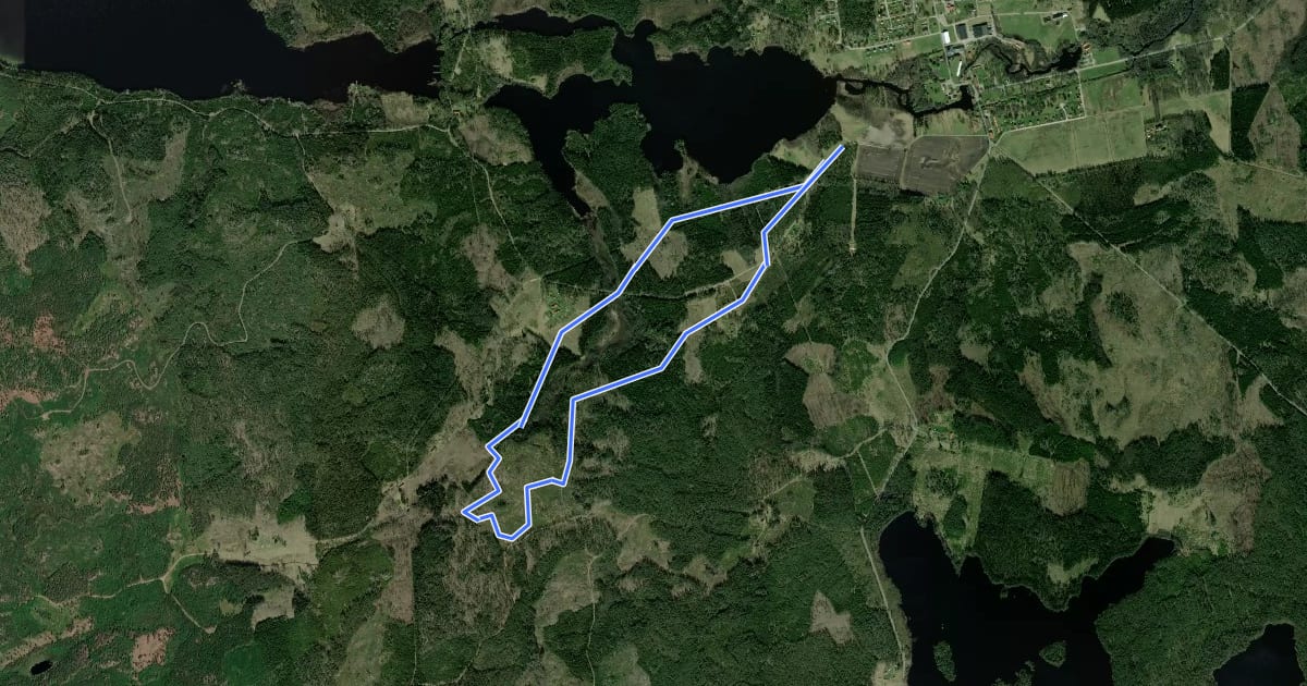 Маршрут 6 km mtb на спутниковом снимке