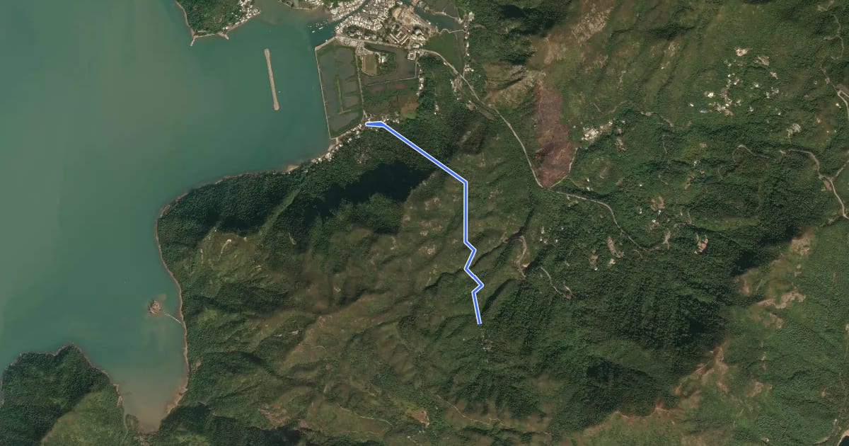 Маршрут 鳳凰徑第6段 Lantau Trail Section 6 на спутниковом снимке
