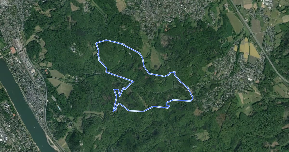 Маршрут (6) Margarethenhöhe & Waldgaststätten на спутниковом снимке