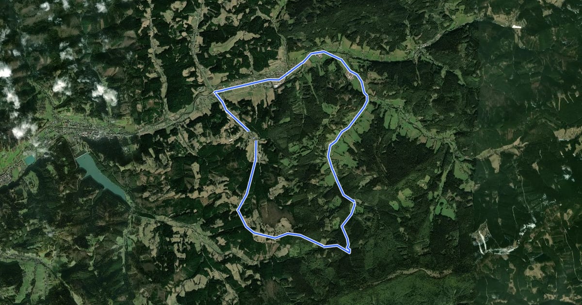 Маршрут 6020/3 на спутниковом снимке