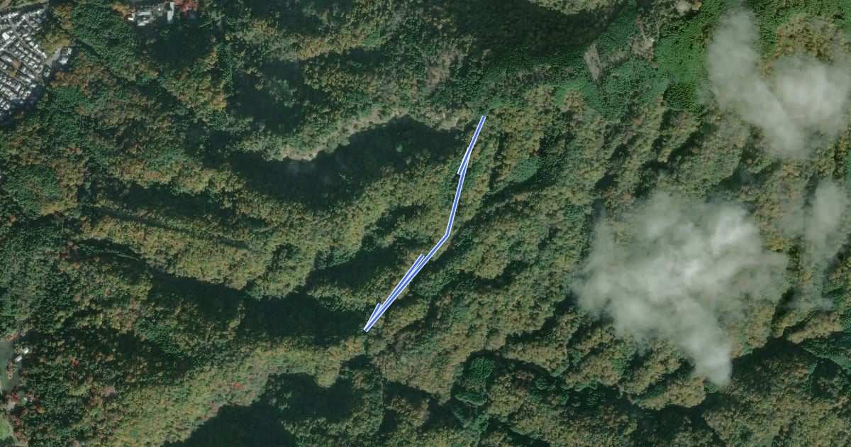 Маршрут 京都一周トレイル東山コース 69:71 на спутниковом снимке
