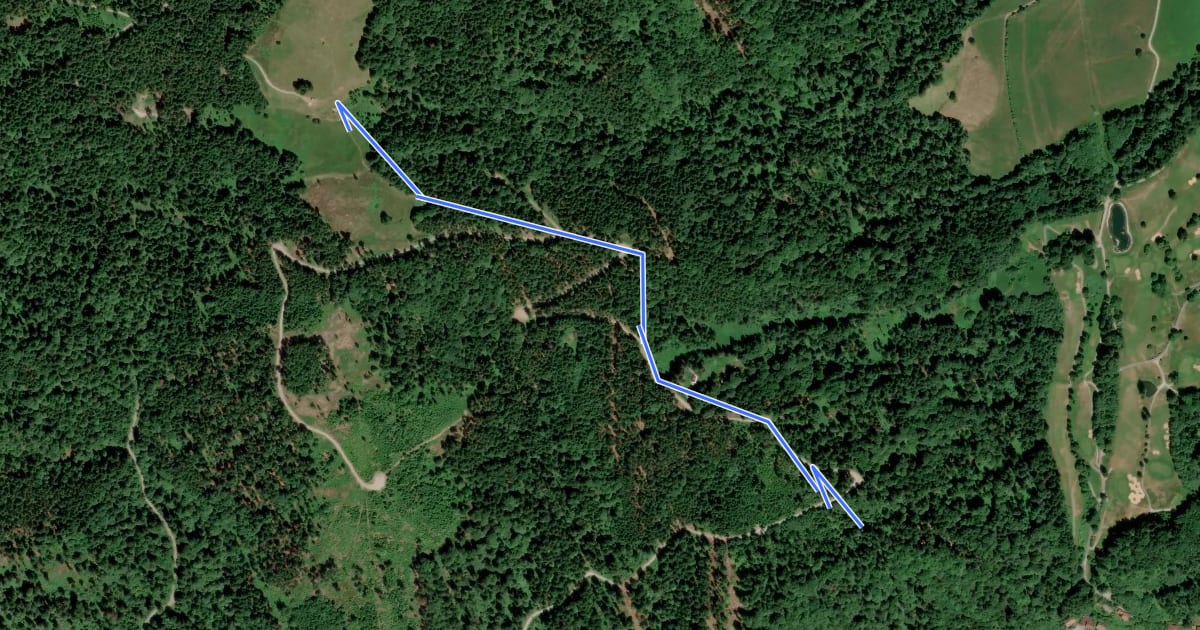 Маршрут 697 Bad Wiessee - Holzeralm на спутниковом снимке