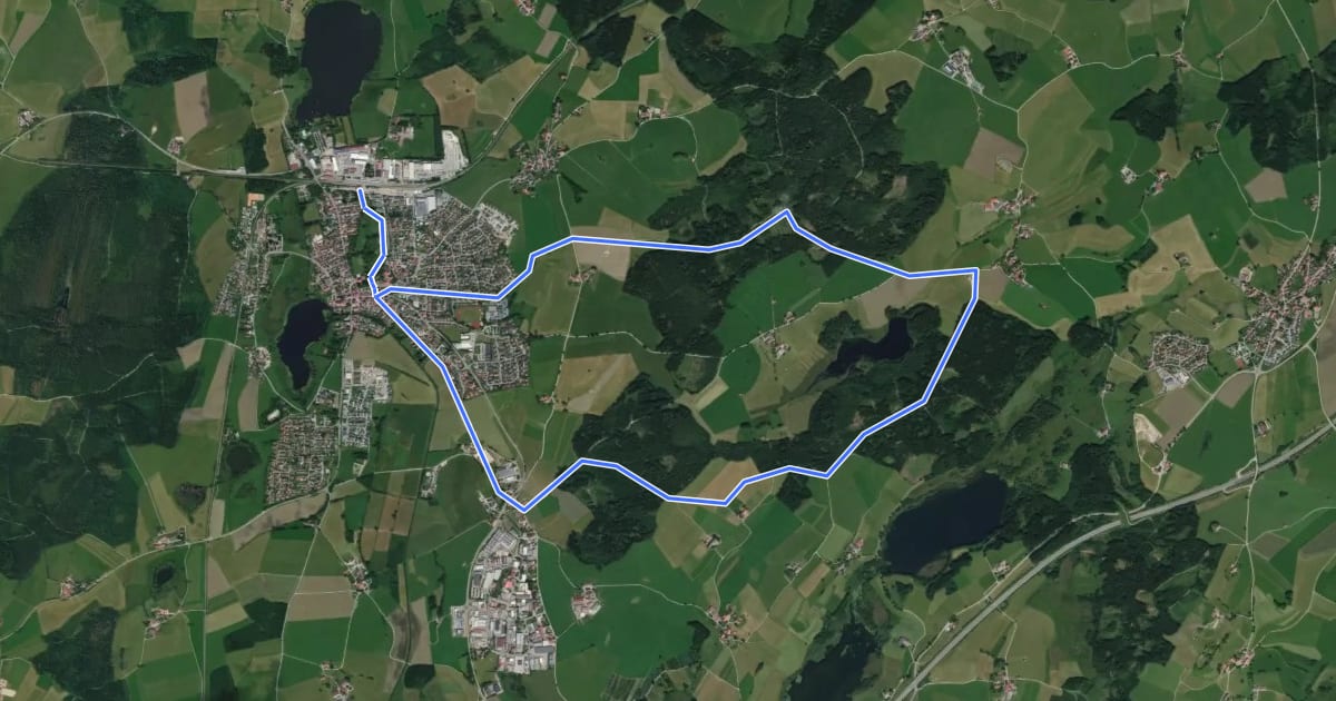 Маршрут 7 - Durchs Roterholz zum Roterweiher на спутниковом снимке