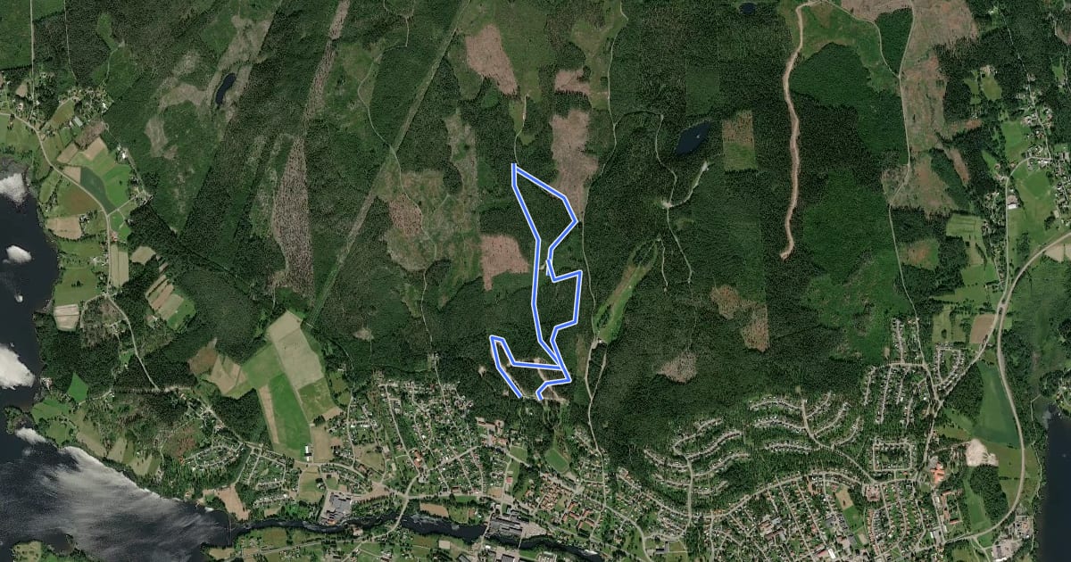Маршрут 7 km на спутниковом снимке