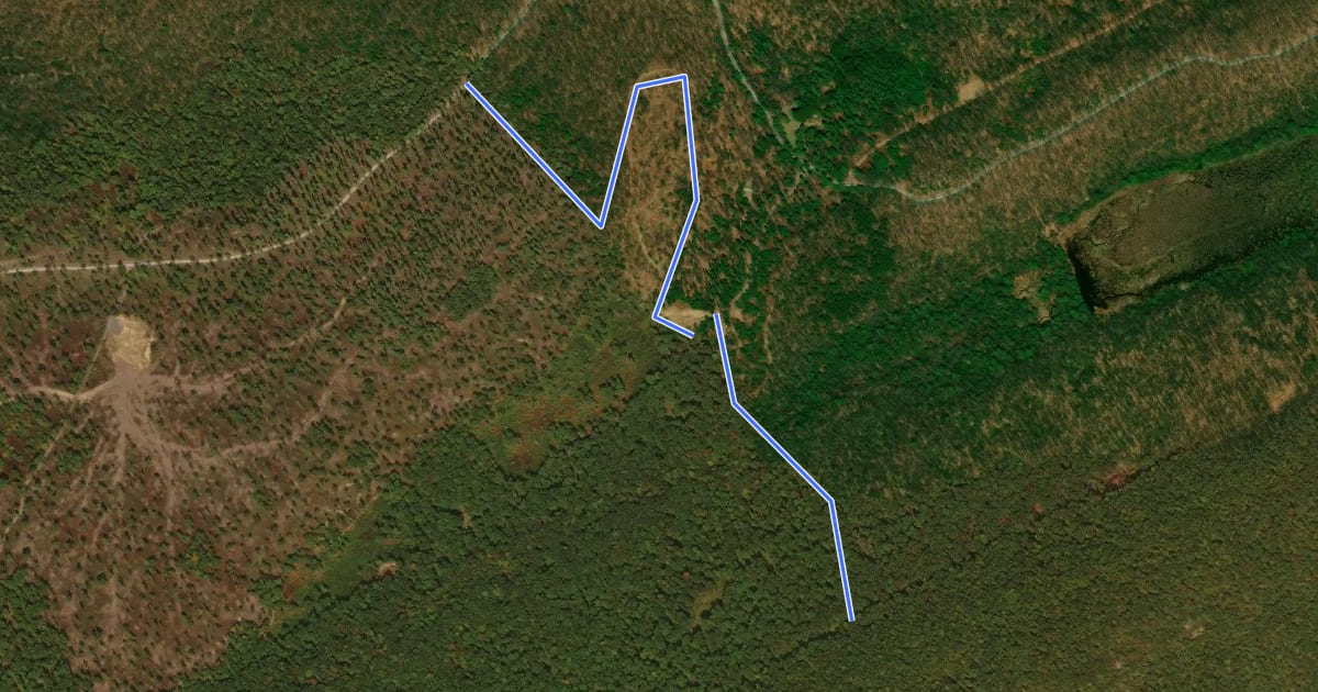 Маршрут 7 Mountains - Horse Path на спутниковом снимке