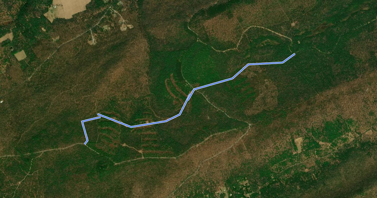 Маршрут 7 Mountains - Plantation Trail на спутниковом снимке