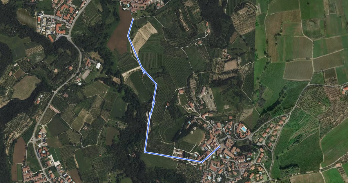 Маршрут 7 - Percorsi delle Colline Moreniche di Puegnago на спутниковом снимке