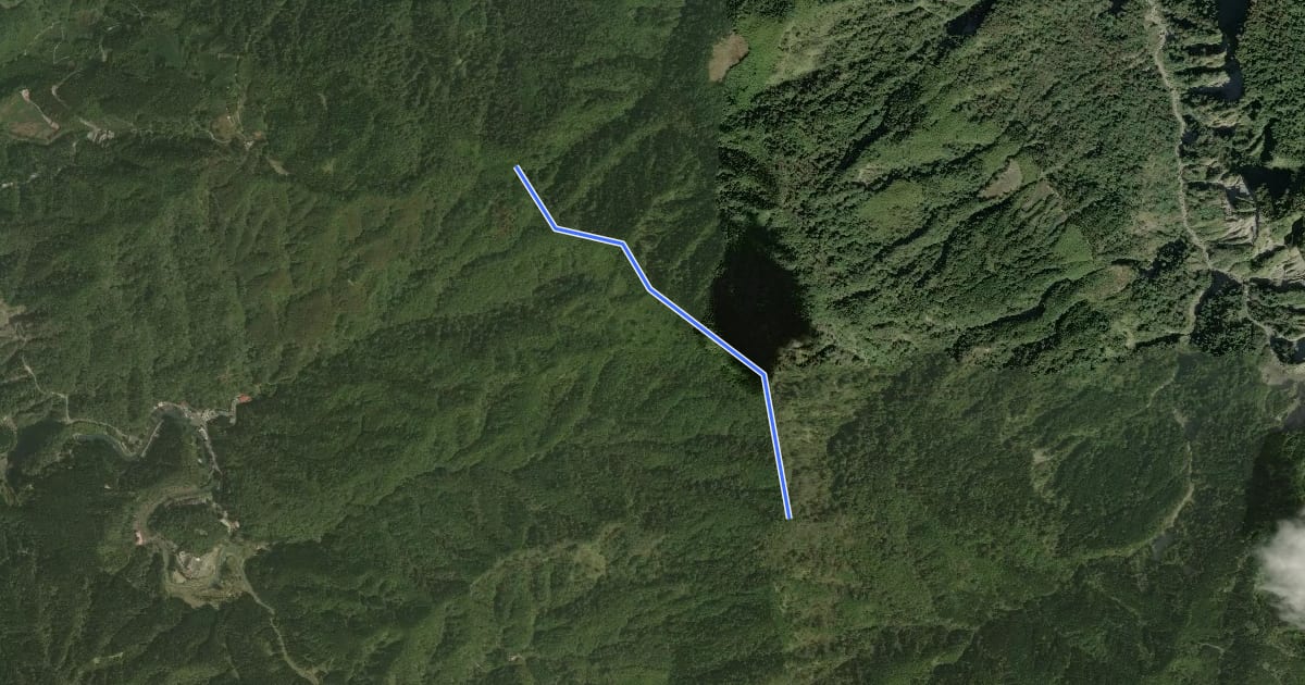 Маршрут 金柑樹山步道 на спутниковом снимке