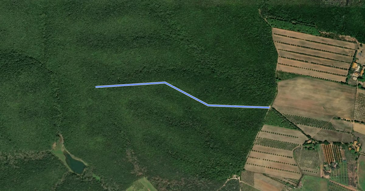 Маршрут 7B на спутниковом снимке