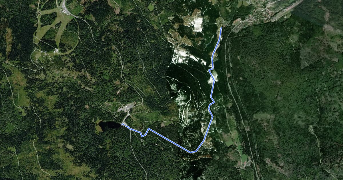 Маршрут 8 Bayerisch Eisenstein - Großer Arbersee на спутниковом снимке