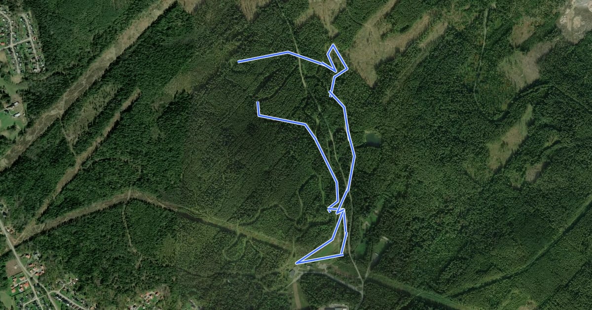 Маршрут 8 km на спутниковом снимке