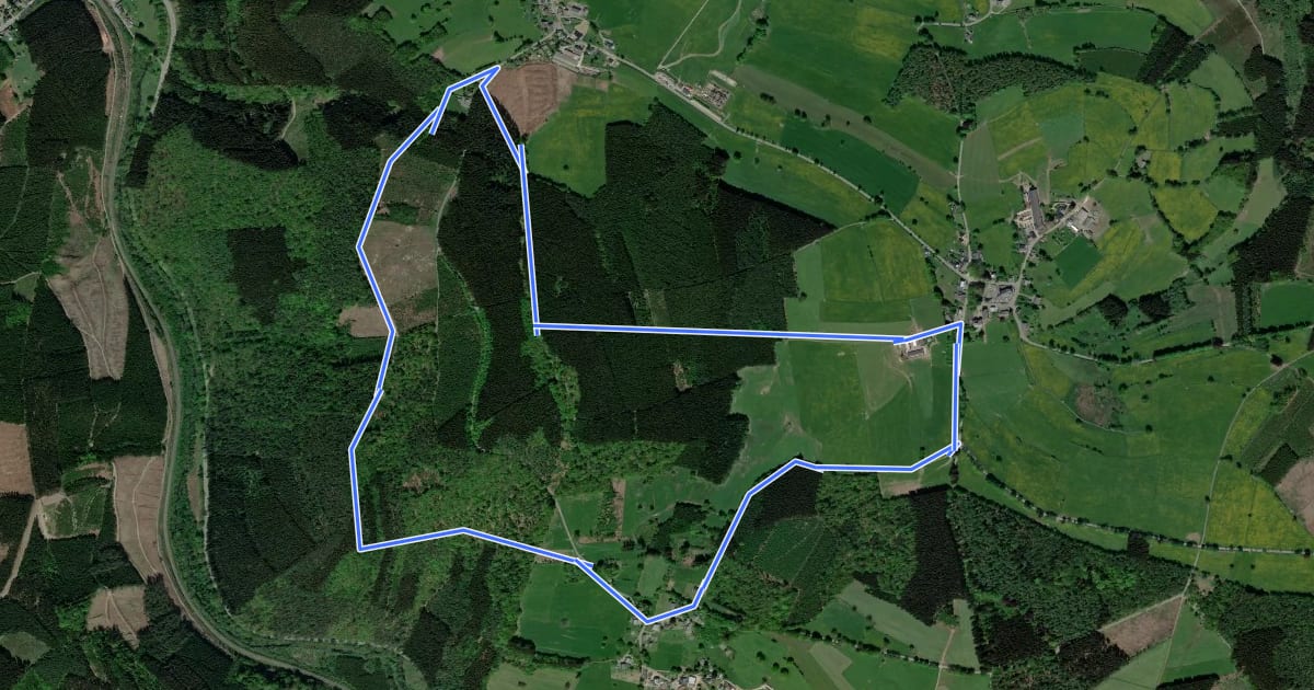Маршрут 8. Promenade du Château de Wanne на спутниковом снимке