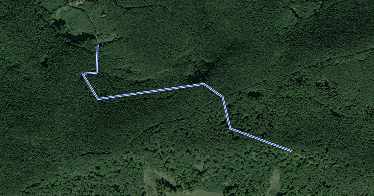 Маршрут 8003M на спутниковом снимке