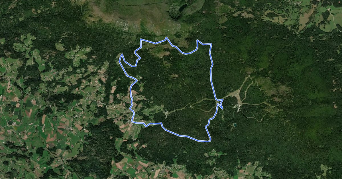 Маршрут 806 Hochwald Mountainbike Runde на спутниковом снимке
