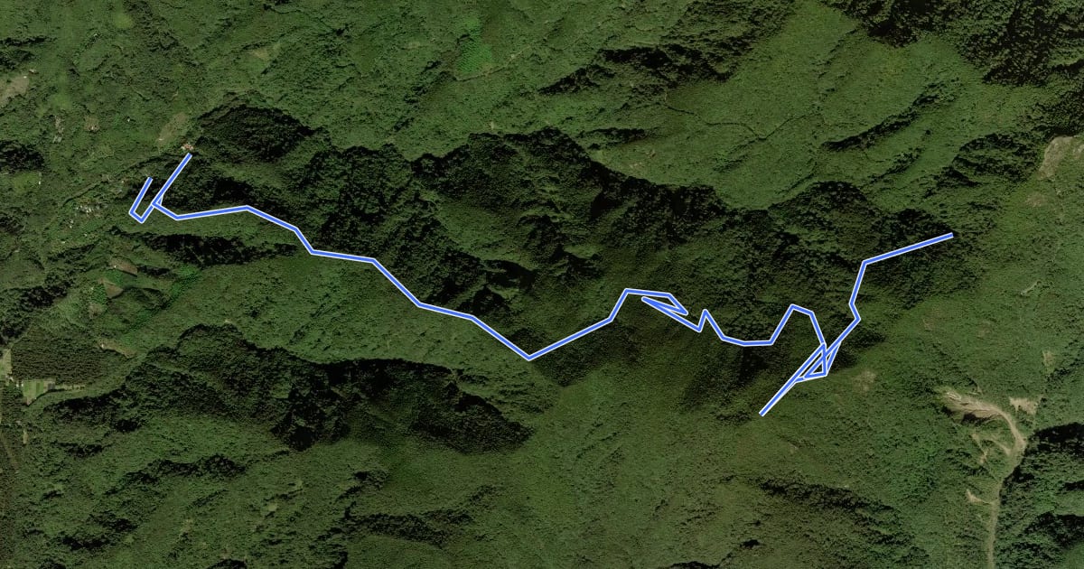 Маршрут 橫嶺山自然步道 на спутниковом снимке