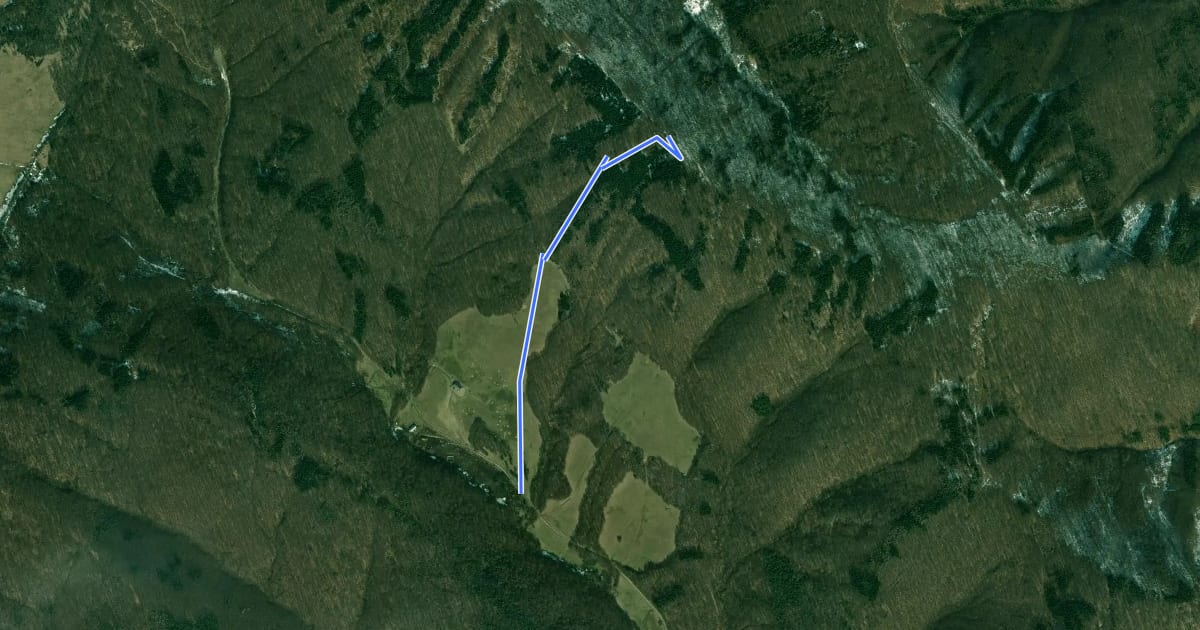 Маршрут 8811M на спутниковом снимке