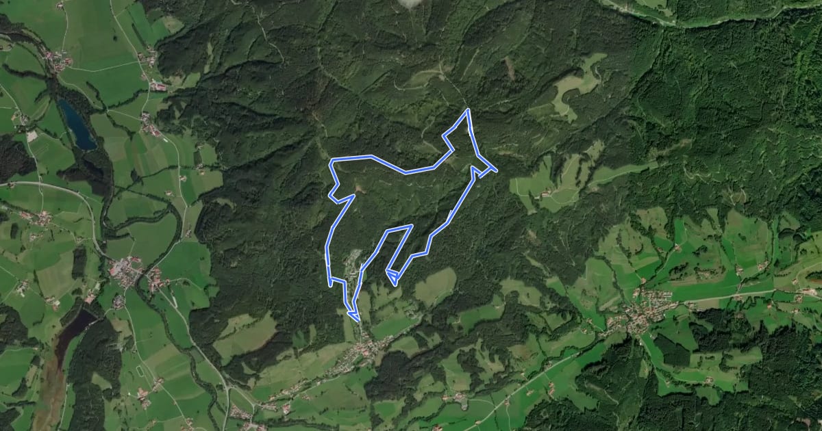 Маршрут 9 - Nordic Walking Schwarzer-Grat-Trail на спутниковом снимке