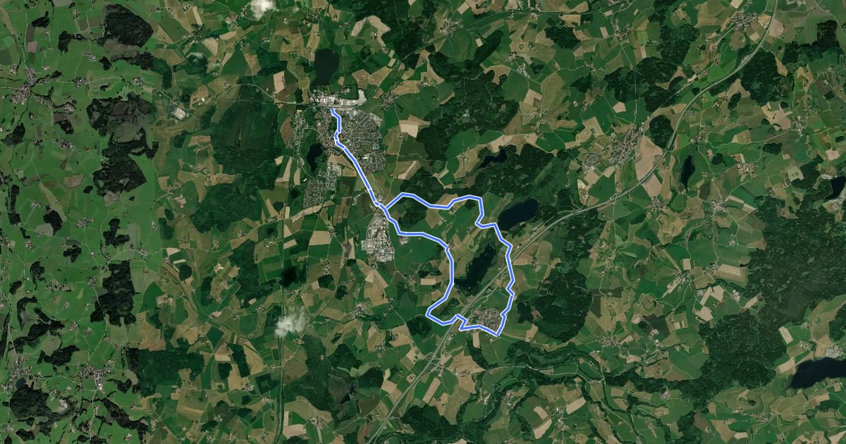 Маршрут 9 - Weiher und Wiesen um Waltershofen на спутниковом снимке
