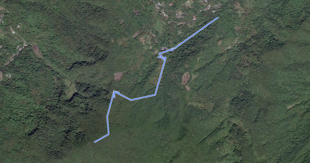 Маршрут 大桶山登山步道(桂山) на спутниковом снимке