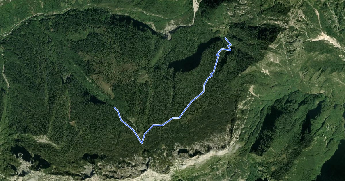 Маршрут 961 на спутниковом снимке