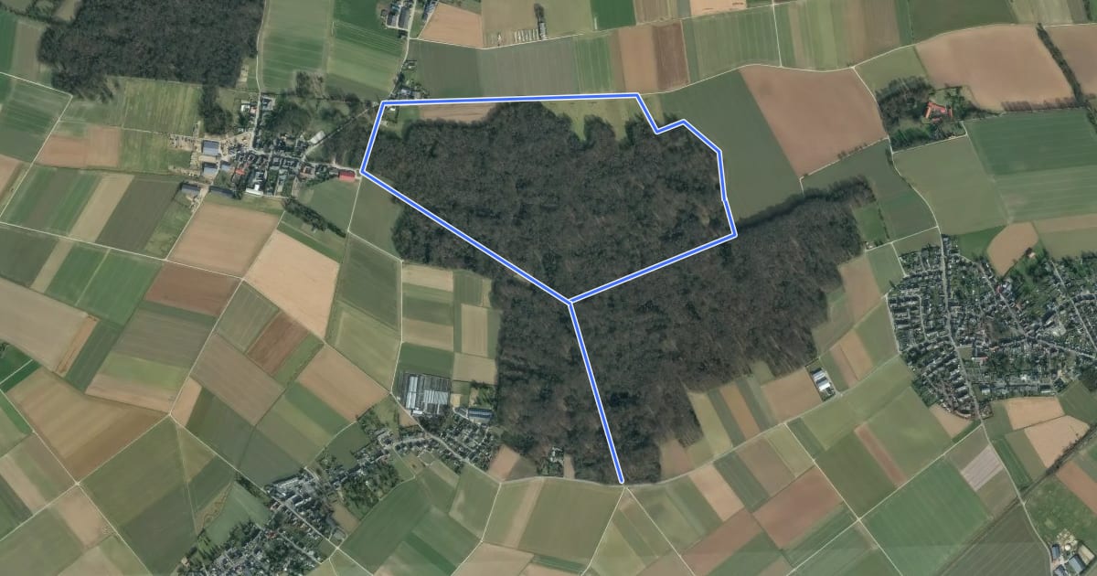 Маршрут A1 Buchholzer Wald на спутниковом снимке