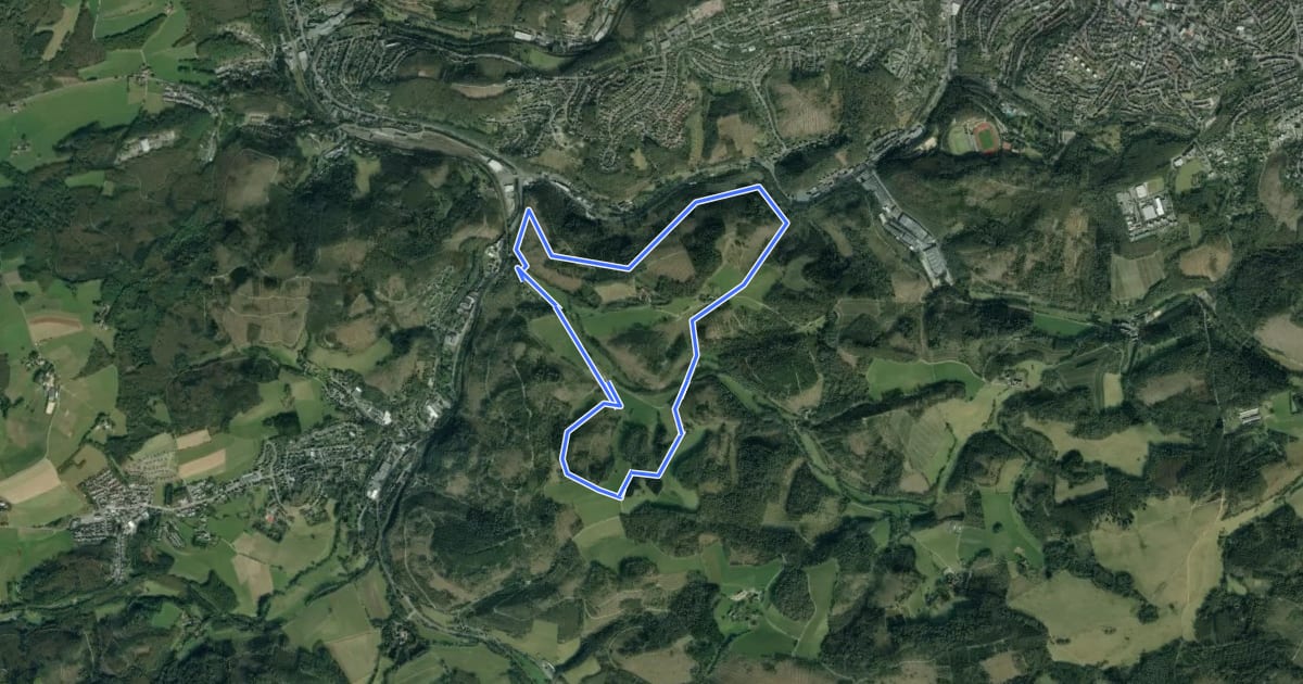 Маршрут [A1] Rundweg Ahelle - Büchenberg на спутниковом снимке