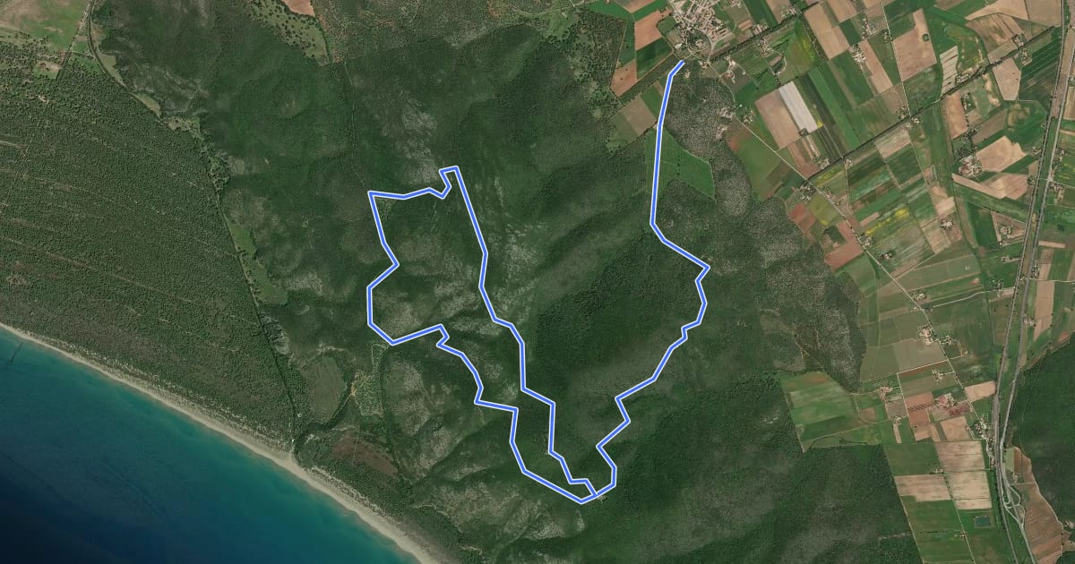 Маршрут A1 San Rabano e Torre Uccellina на спутниковом снимке