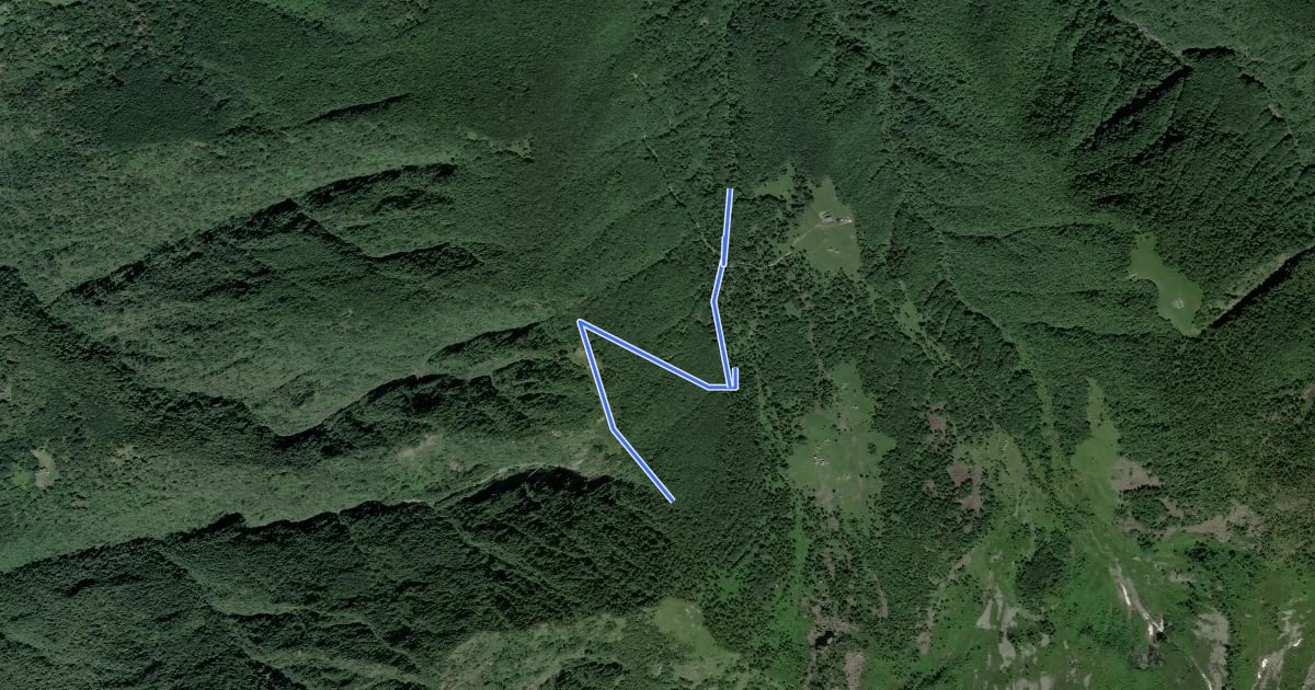 Маршрут A16b - bivio A16 Alpe Parpinasca - bivio A16 sopra Alpe Drisoni на спутниковом снимке