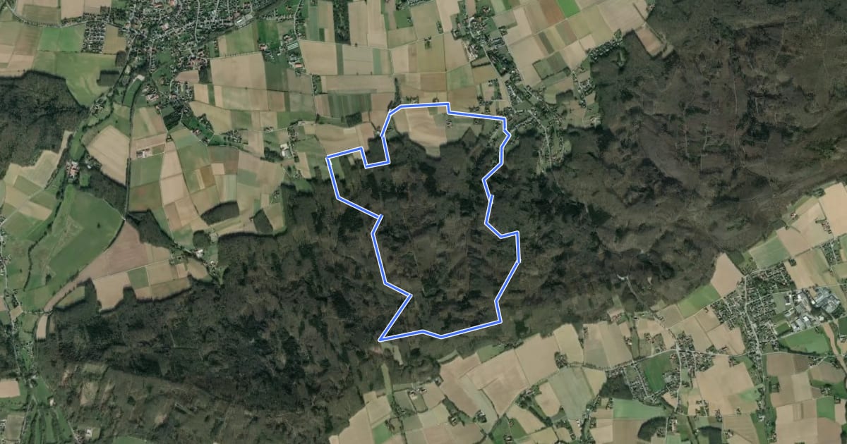 Маршрут A3 Preußisch Oldendorf-Holzhauser Berg на спутниковом снимке
