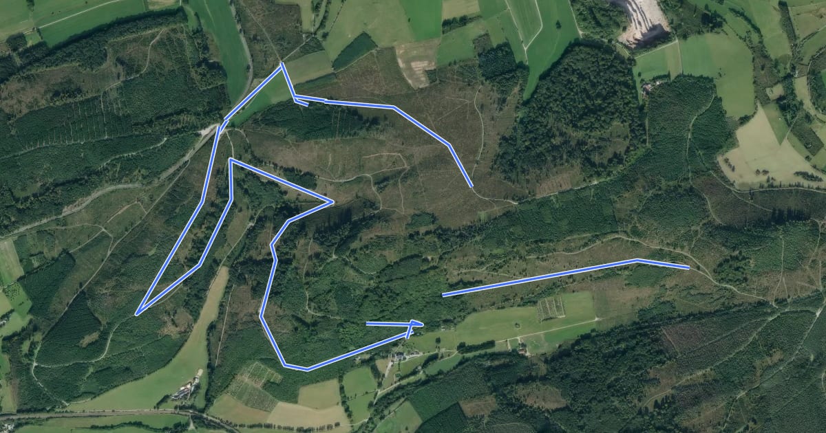 Маршрут [A4] Rundwanderweg "Zwöllberg - Eisenberg - Rinketal" bei Olsberg на спутниковом снимке
