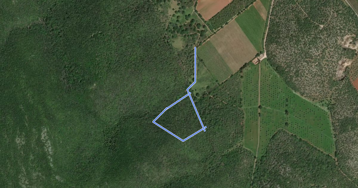 Маршрут A5 Forestale e Faunistico на спутниковом снимке