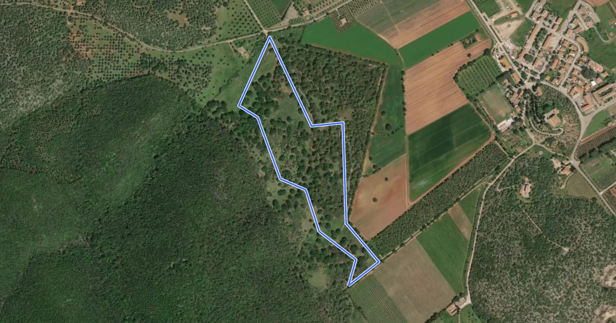 Маршрут A6 Forestale e Faunistico на спутниковом снимке