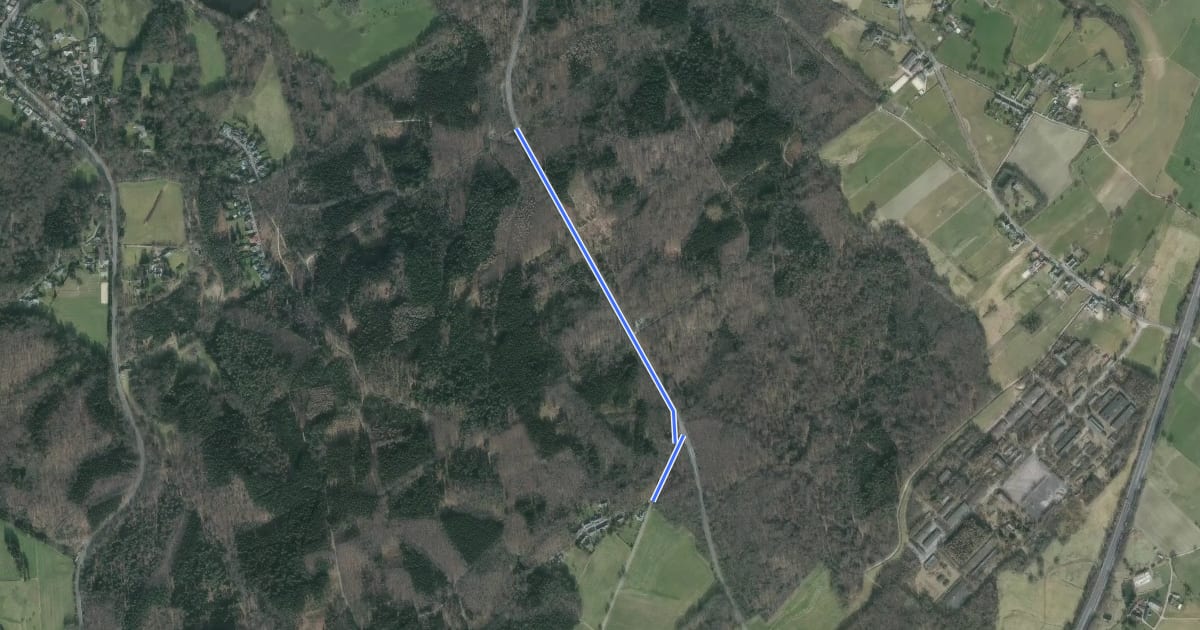 Маршрут Aachener Wald (10) - Grüne Eiche (36) на спутниковом снимке